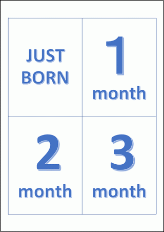月齢カード 無料テンプレートのダウンロード 赤ちゃん成長記録
